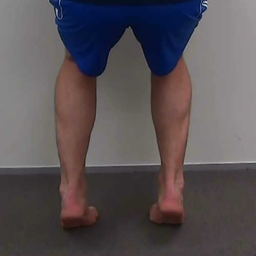 Bent knee calf raise demonstration