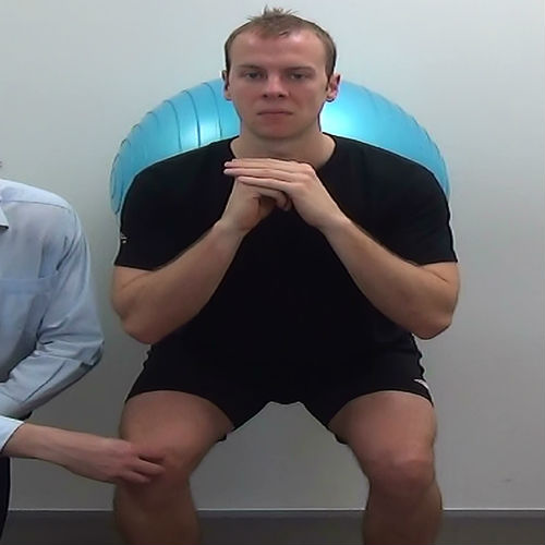 Swiss ball wall squat demonstration