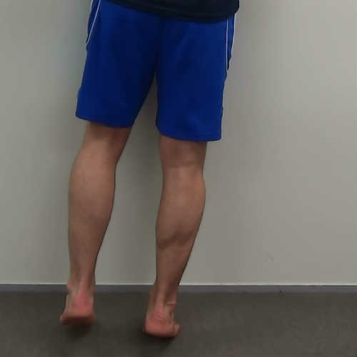 Two up one down calf raise demonstration